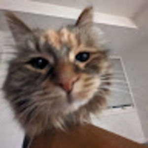 Meet your Posher, Benjamin